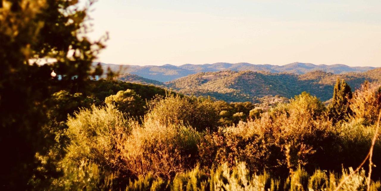La Garrida tu casa rural con encanto cerca de Córdoba Almodóvar del Río Exterior foto